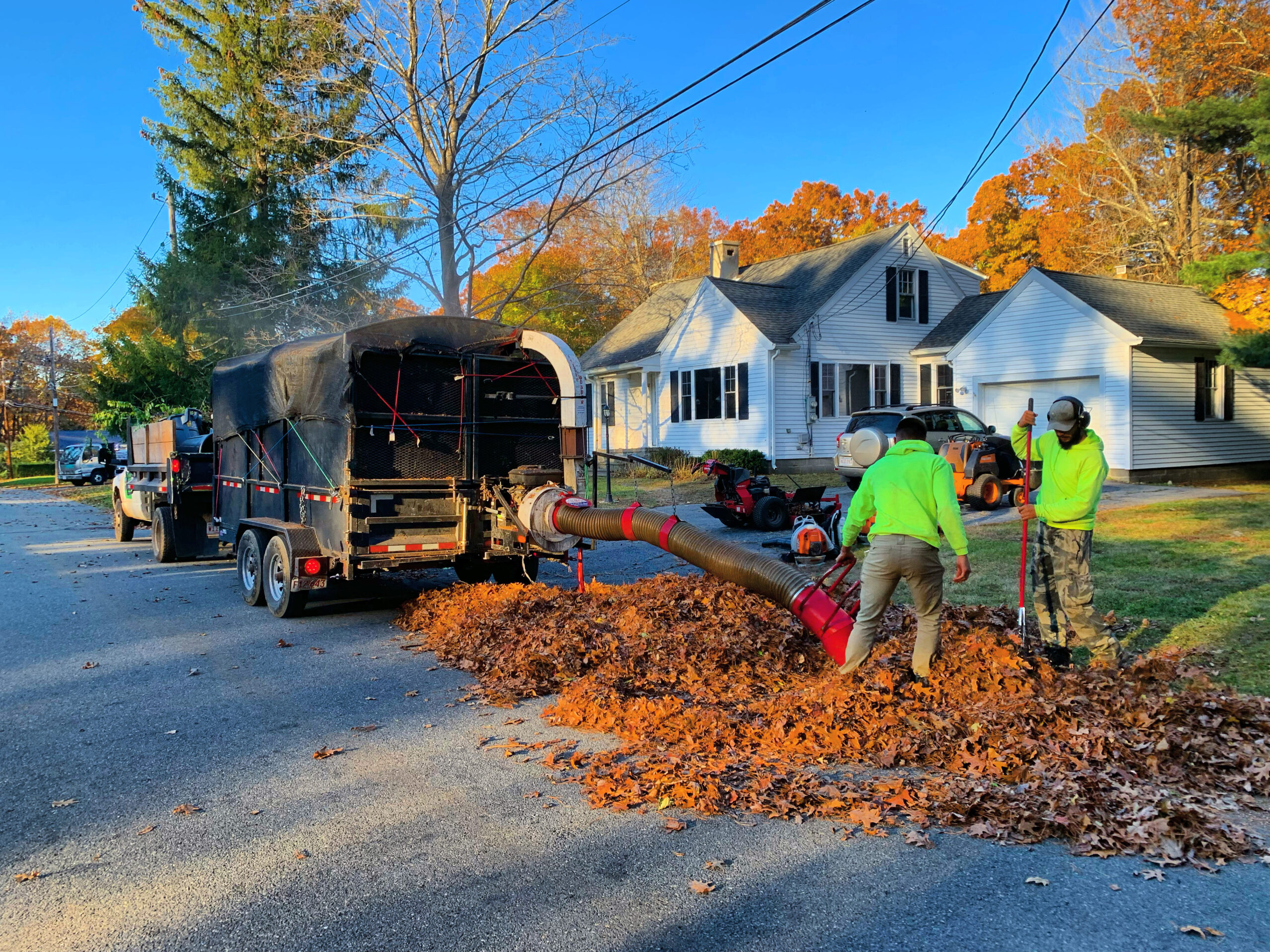 putting leaves in truck from yard